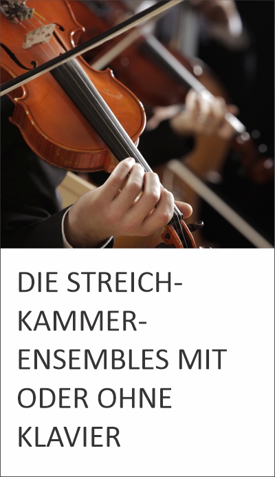 Streichkammerensembles Wettbewerb